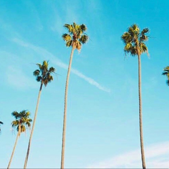 Happy shopping🛍💗🌴✨ - Picture 1 of 1